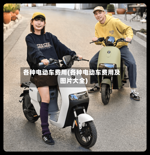 各种电动车费用(各种电动车费用及图片大全)-第2张图片