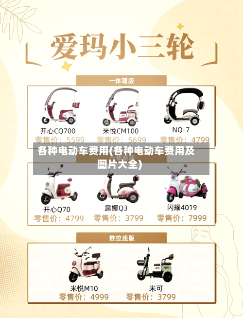各种电动车费用(各种电动车费用及图片大全)