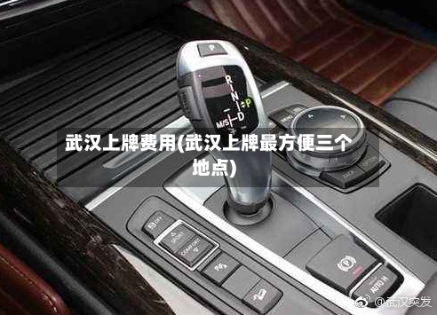 武汉上牌费用(武汉上牌最方便三个地点)-第2张图片