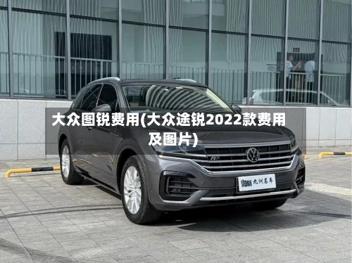 大众图锐费用(大众途锐2022款费用及图片)-第3张图片