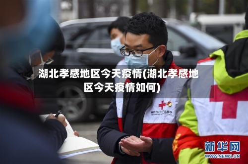 湖北孝感地区今天疫情(湖北孝感地区今天疫情如何)-第2张图片