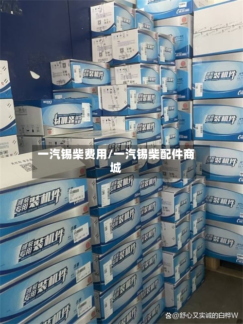 一汽锡柴费用/一汽锡柴配件商城-第2张图片