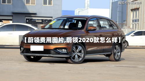 【蔚领费用图片,蔚领2020款怎么样】-第2张图片