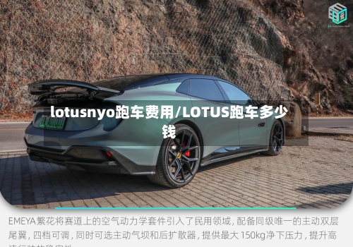 lotusnyo跑车费用/LOTUS跑车多少钱-第2张图片