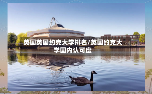 英国英国约克大学排名/英国约克大学国内认可度