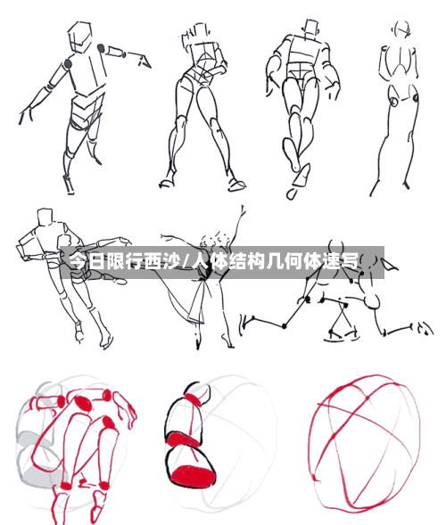 今日限行西沙/人体结构几何体速写