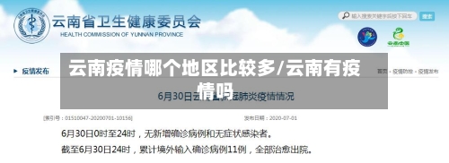 云南疫情哪个地区比较多/云南有疫情吗