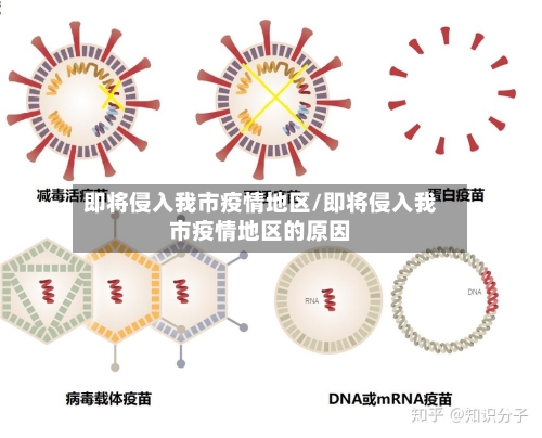 即将侵入我市疫情地区/即将侵入我市疫情地区的原因-第2张图片