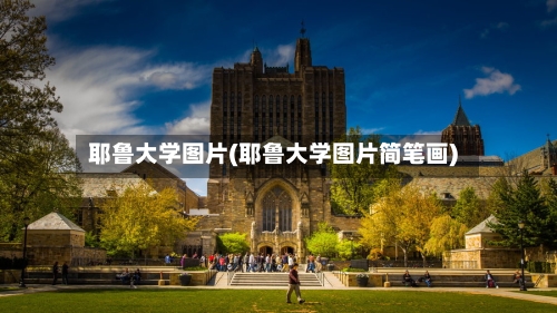 耶鲁大学图片(耶鲁大学图片简笔画)-第3张图片