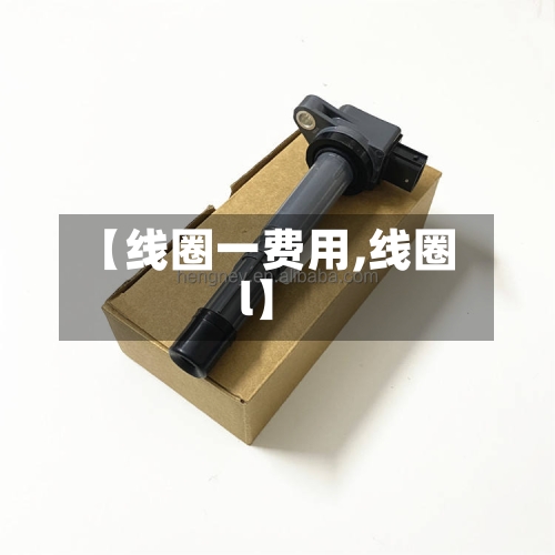 【线圈一费用,线圈l】-第2张图片