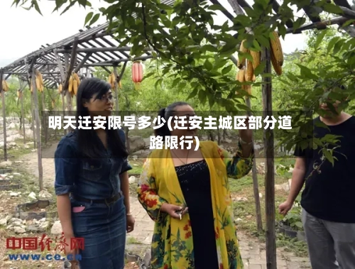 明天迁安限号多少(迁安主城区部分道路限行)