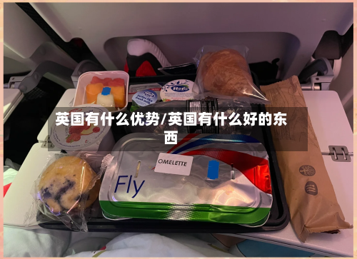 英国有什么优势/英国有什么好的东西-第2张图片