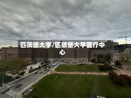 匹茨堡大学/匹兹堡大学医疗中心