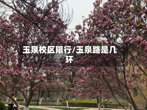 玉泉校区限行/玉泉路是几环-第2张图片