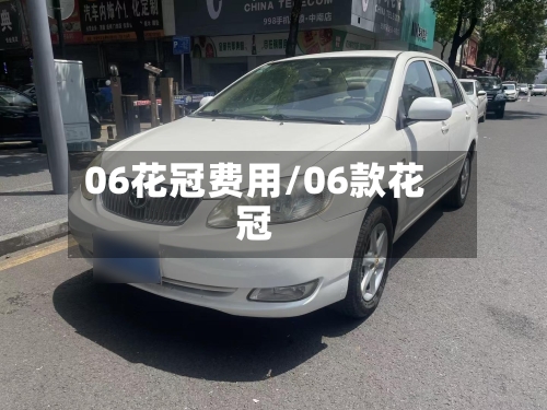 06花冠费用/06款花冠-第3张图片
