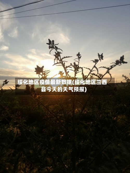 绥化地区疫情最新数据(绥化地区兰西县今天的天气预报)-第3张图片