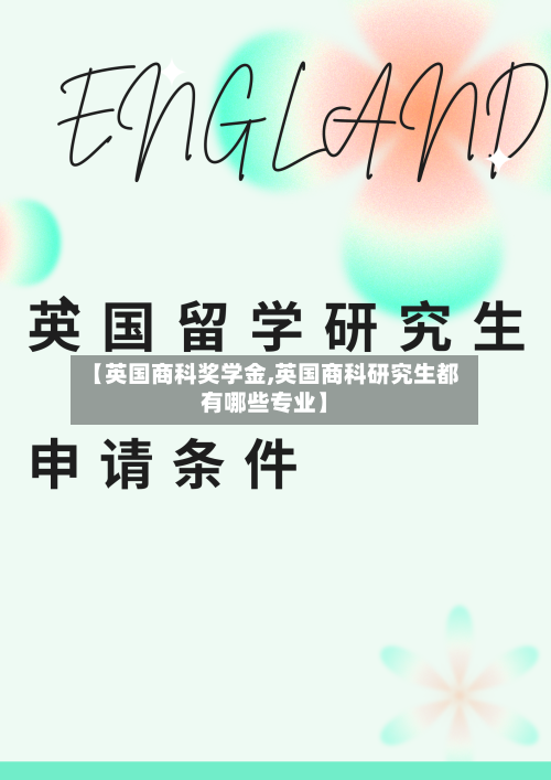 【英国商科奖学金,英国商科研究生都有哪些专业】-第3张图片