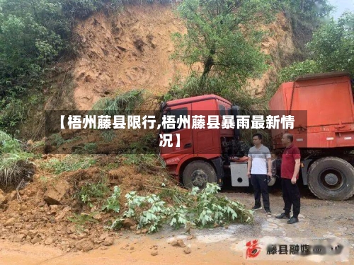 【梧州藤县限行,梧州藤县暴雨最新情况】