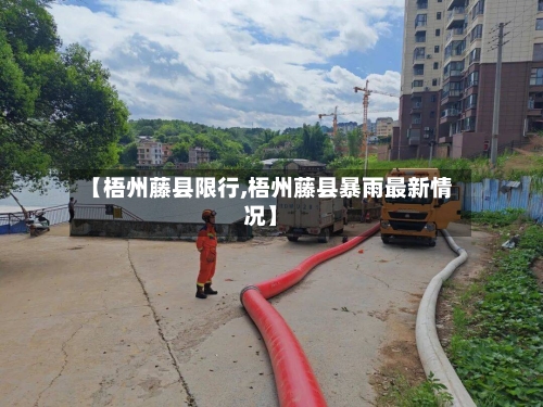 【梧州藤县限行,梧州藤县暴雨最新情况】-第2张图片