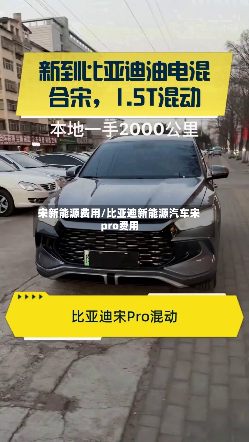 宋新能源费用/比亚迪新能源汽车宋pro费用