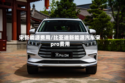 宋新能源费用/比亚迪新能源汽车宋pro费用-第2张图片