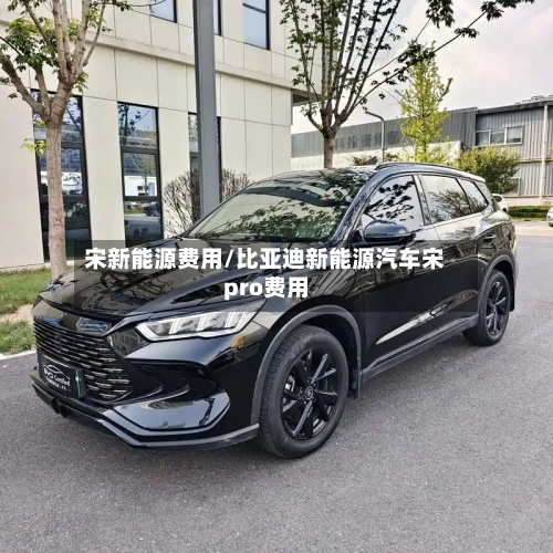 宋新能源费用/比亚迪新能源汽车宋pro费用-第3张图片