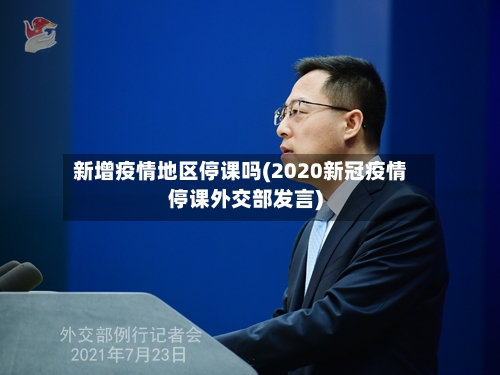 新增疫情地区停课吗(2020新冠疫情停课外交部发言)-第2张图片