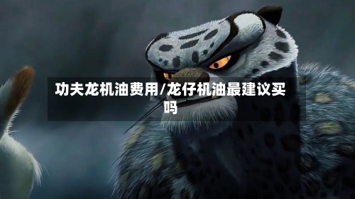 功夫龙机油费用/龙仔机油最建议买吗-第2张图片