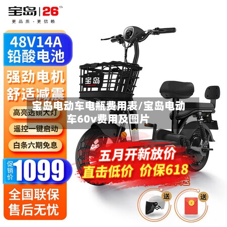 宝岛电动车电瓶费用表/宝岛电动车60v费用及图片