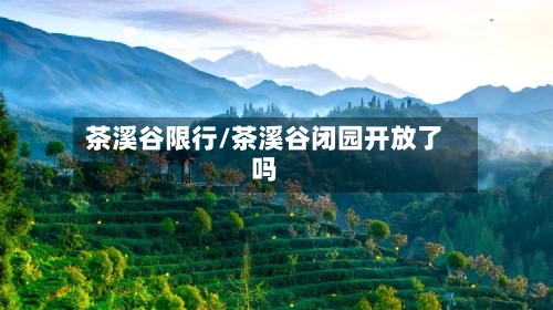 茶溪谷限行/茶溪谷闭园开放了吗-第3张图片