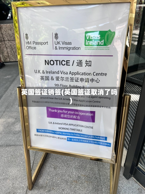 英国签证销签(英国签证取消了吗)-第3张图片