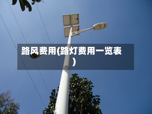 路风费用(路灯费用一览表)-第2张图片