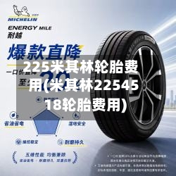 225米其林轮胎费用(米其林2254518轮胎费用)