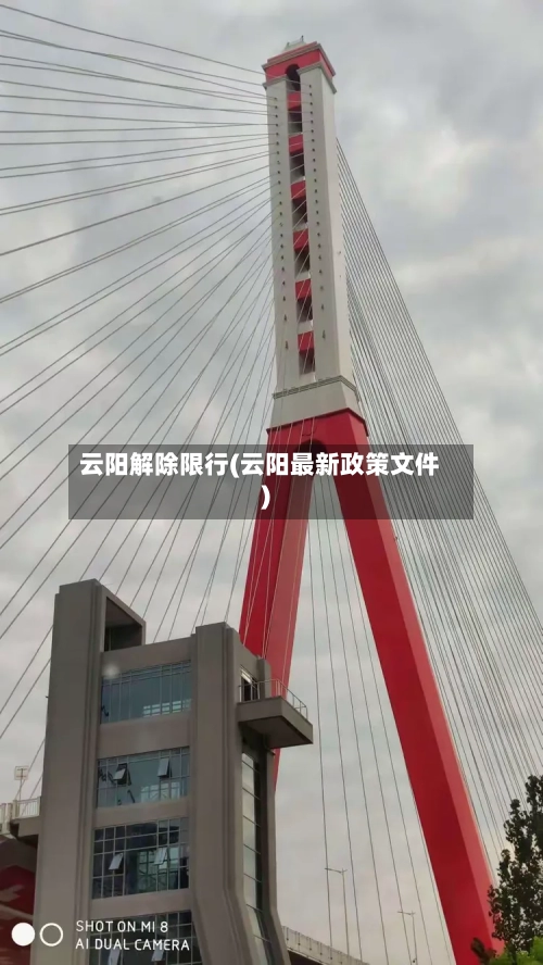 云阳解除限行(云阳最新政策文件)