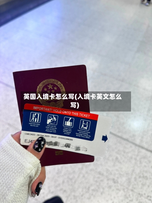 英国入境卡怎么写(入境卡英文怎么写)-第3张图片