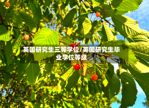 英国研究生三等学位/英国研究生毕业学位等级
