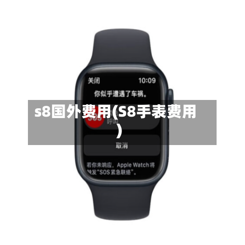 s8国外费用(S8手表费用)