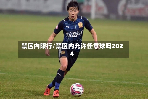禁区内限行/禁区内允许任意球吗2024