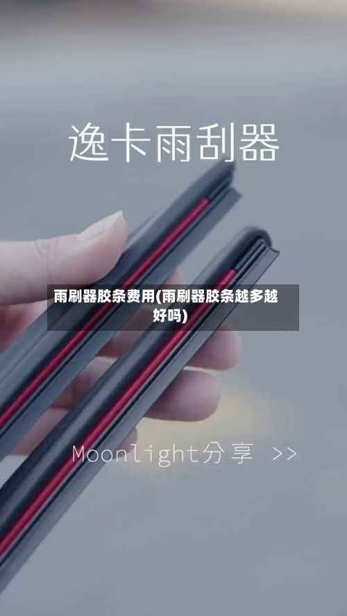雨刷器胶条费用(雨刷器胶条越多越好吗)-第2张图片