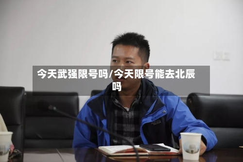 今天武强限号吗/今天限号能去北辰吗-第2张图片