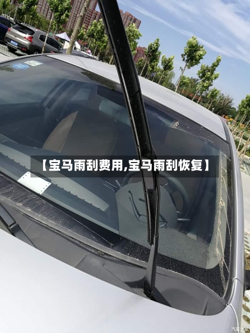 【宝马雨刮费用,宝马雨刮恢复】-第2张图片