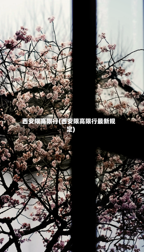 西安限高限行(西安限高限行最新规定)-第2张图片