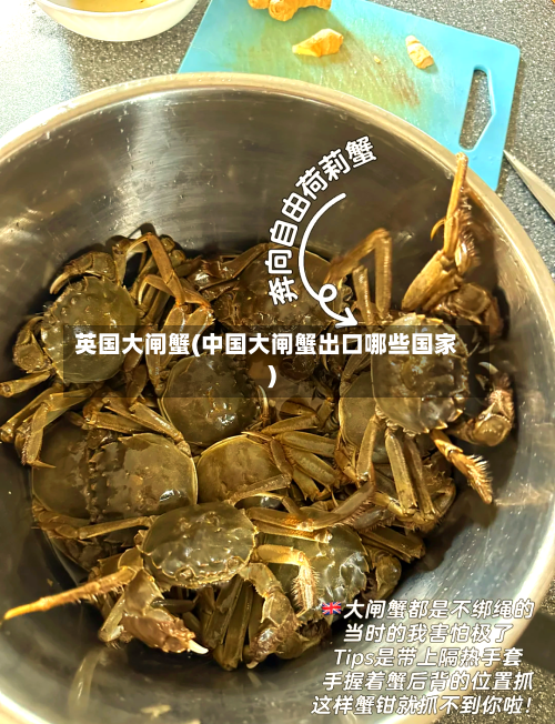 英国大闸蟹(中国大闸蟹出口哪些国家)-第2张图片