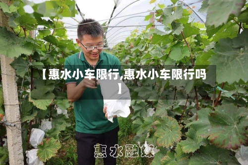 【惠水小车限行,惠水小车限行吗】