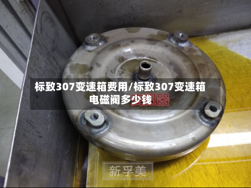 标致307变速箱费用/标致307变速箱电磁阀多少钱