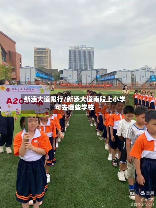 新添大道限行/新添大道南段上小学可去哪些学校