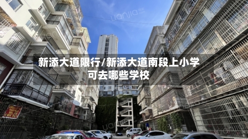 新添大道限行/新添大道南段上小学可去哪些学校-第2张图片