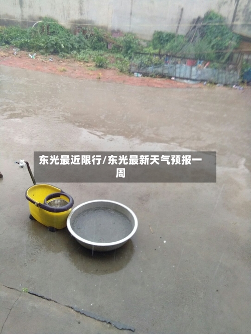 东光最近限行/东光最新天气预报一周