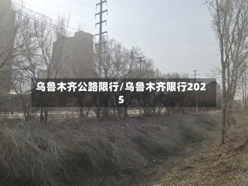乌鲁木齐公路限行/乌鲁木齐限行2025-第2张图片