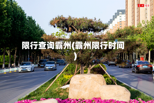 限行查询霸州(霸州限行时间)-第2张图片